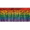 Beistle Set of 6 1-Ply Rainbow Metallic Fringe Entertainment Party Drape 10'